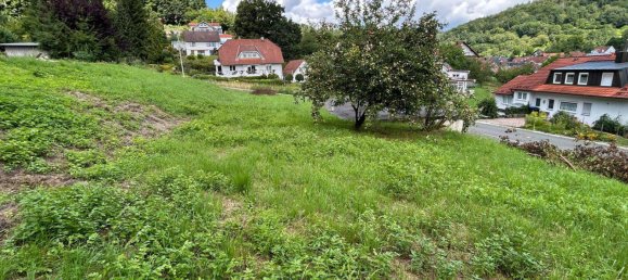 Земельный участок в Forchheim, Германия № 228728 4