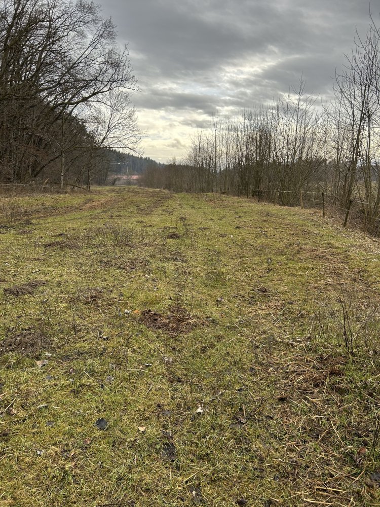  Land in Traunstein, Germany No. 166488