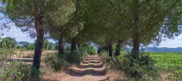 31-salle Maison à Campagnatico, Italy No. 276974 5