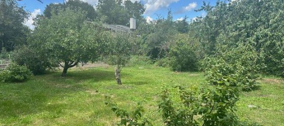 Земельный участок в Магдебург, Германия № 226947 2