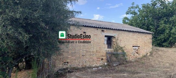 3 Schlafzimmer Haus in Acquaviva Picena, Italy, Nr. 333758 31