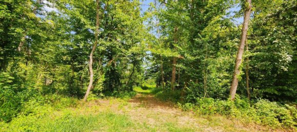 2 rooms House in Mureck, Austria No. 153282 7