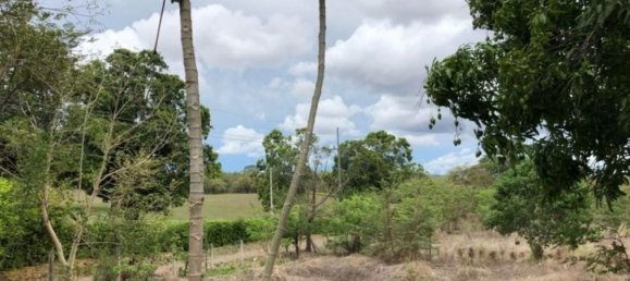 Terreno em Puerto Carrillo, Costa Rica N.º 1843 3