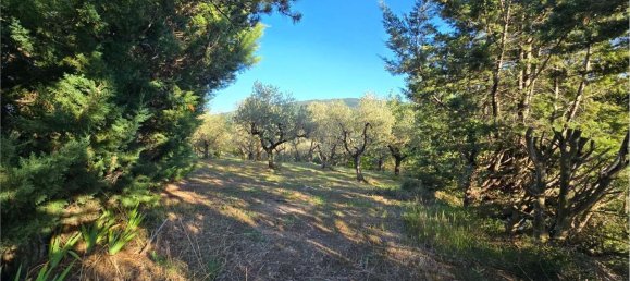  Land in Gualdo Cattaneo, Italy No. 310982 2