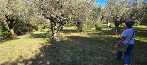  Land in Gualdo Cattaneo, Italy No. 310982 8