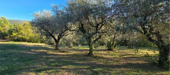  Land in Gualdo Cattaneo, Italy No. 310982 5