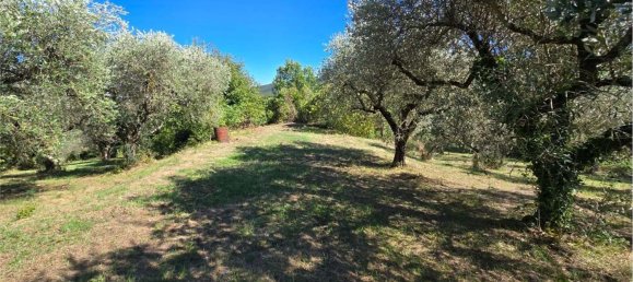  Land in Gualdo Cattaneo, Italy No. 310982 7