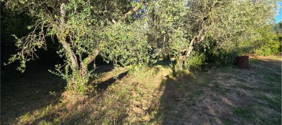  Land in Gualdo Cattaneo, Italy No. 310982 3