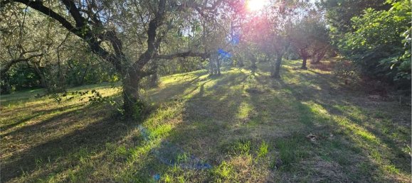  Land in Gualdo Cattaneo, Italy No. 310982 4