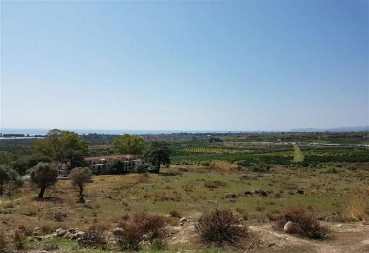 Studio in Calabria, Italy No. 58