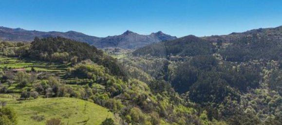 3 Schlafzimmer Villa in Celorico de Basto, Portugal, Nr. 190056 16