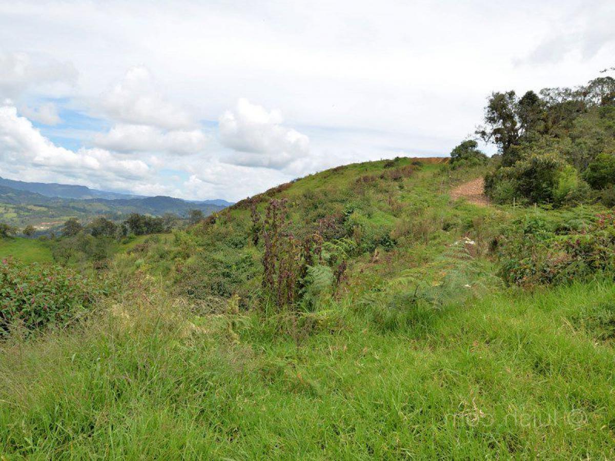  Land in Antioquia, Colombia No. 133