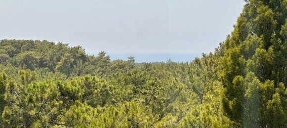 Apartment 1+1 in Alanya, Turkey No. 23540 26