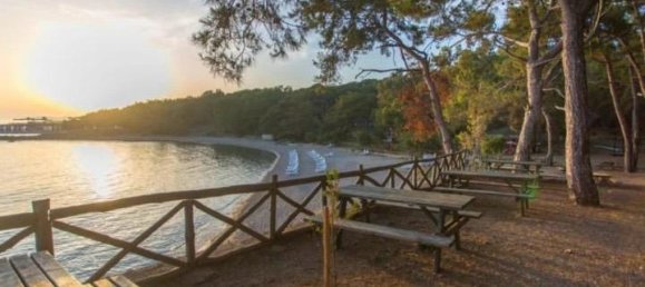 Apartment 1+1 in Alanya, Turkey No. 23540 15