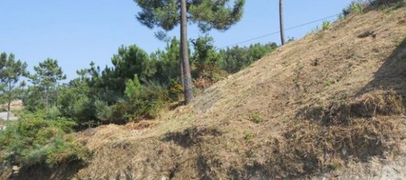 17430m² Land in Tarouquela, Portugal No. 89536 2