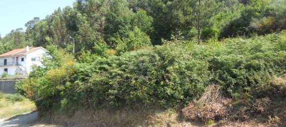 17430m² Land in Tarouquela, Portugal No. 89536 3