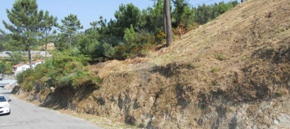 17430m² Land in Tarouquela, Portugal No. 89536 12