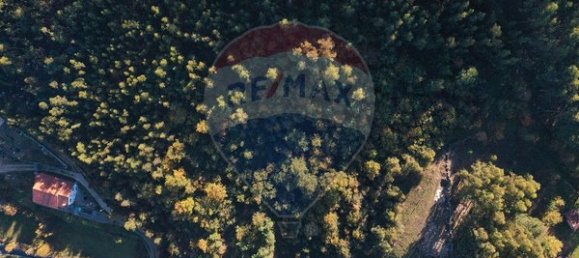 17430m² Land in Tarouquela, Portugal No. 89536 10