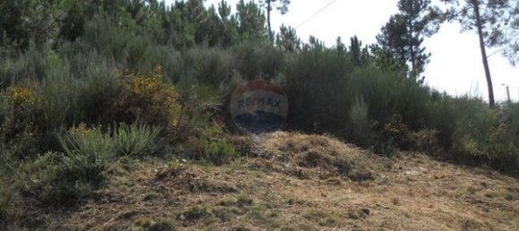 17430m² Land in Tarouquela, Portugal No. 89536 11