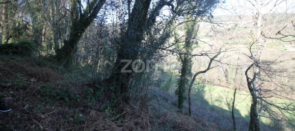 2 bedrooms House in Cabeceiras de Basto, Portugal No. 195268 16