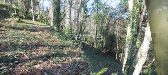 2 bedrooms House in Cabeceiras de Basto, Portugal No. 195268 18