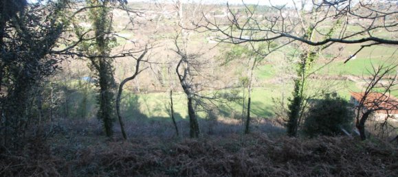 2 bedrooms House in Cabeceiras de Basto, Portugal No. 195268 12