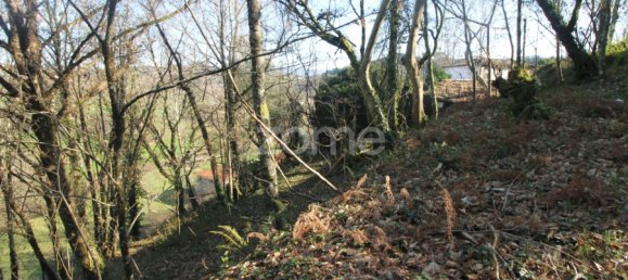 2 bedrooms House in Cabeceiras de Basto, Portugal No. 195268 17