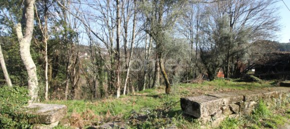 2 bedrooms House in Cabeceiras de Basto, Portugal No. 195268 19