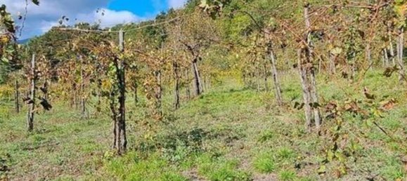 6 غرف نوم فيلا في Pratella, Italy رقم 325677 22