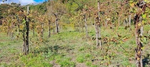 6 غرف نوم فيلا في Pratella, Italy رقم 325677 21