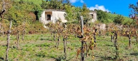 6 غرف نوم فيلا في Pratella, Italy رقم 325677 24