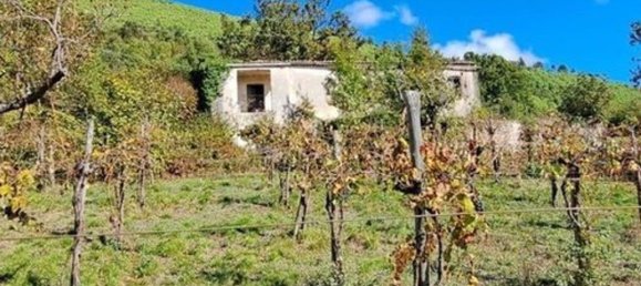 6 غرف نوم فيلا في Pratella, Italy رقم 325677 25