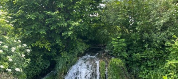 7 rooms House in Winzendorf-Muthmannsdorf, Austria No. 136004 3