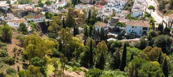 9 chambres Villa à Benahavis, Spain No. 76418 3