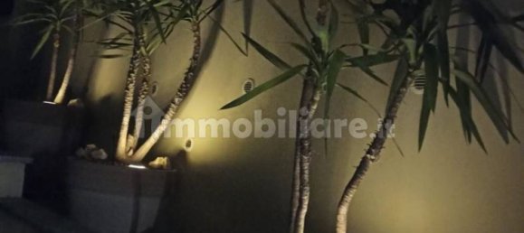 2 bedrooms Apartment in Spotorno, Italy No. 259663 18