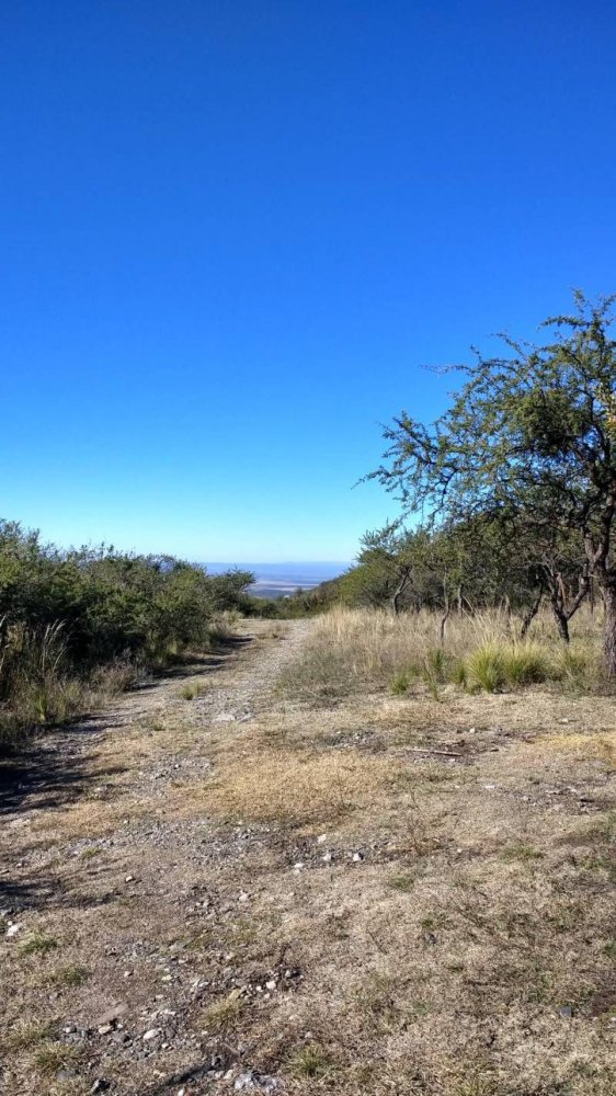  Land in San Luis, Argentina No. 39685