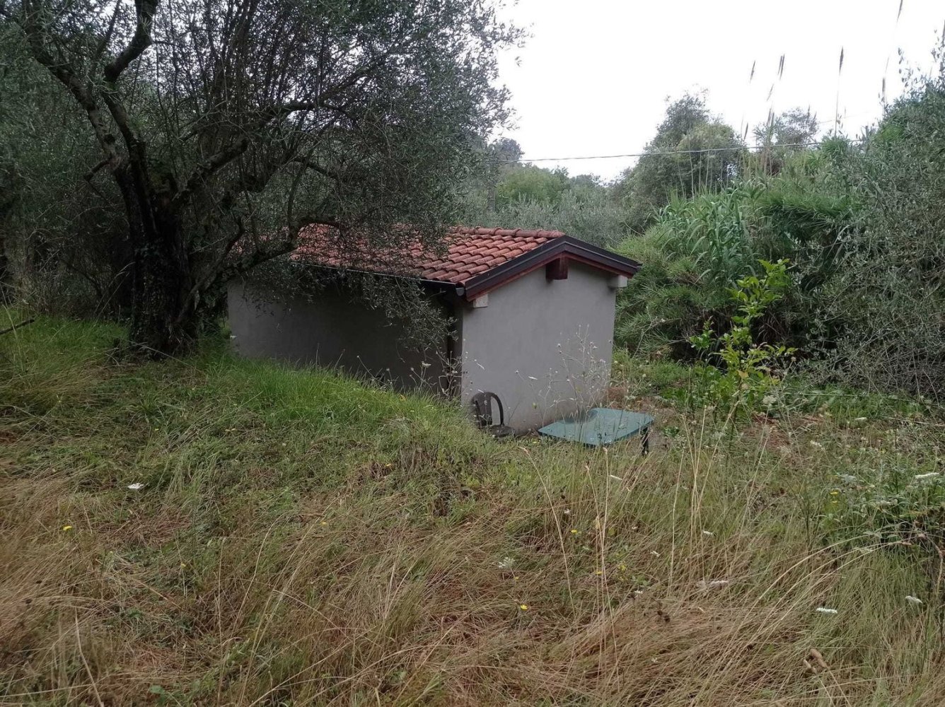 3610m² Land in Fosdinovo, Italy No. 133533