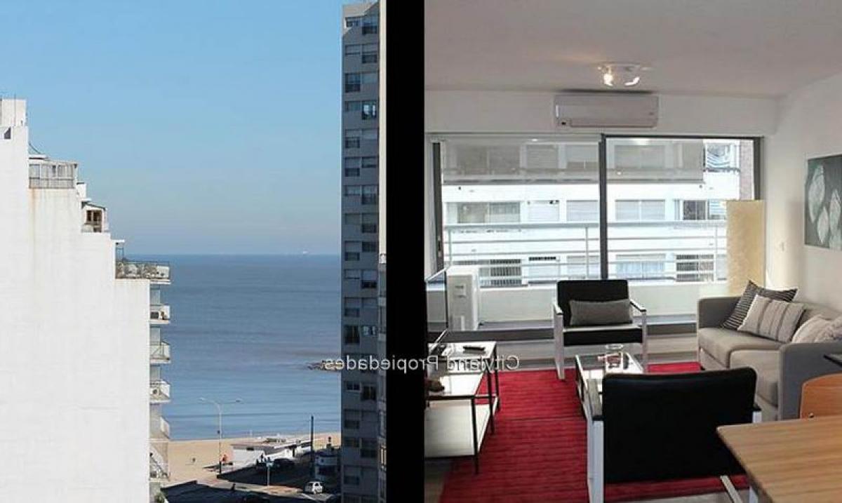 Studio in Montevideo, Uruguay No. 2629