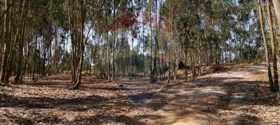 Terreno em Torres Vedras, Portugal 16500 m² N.º 92820 3