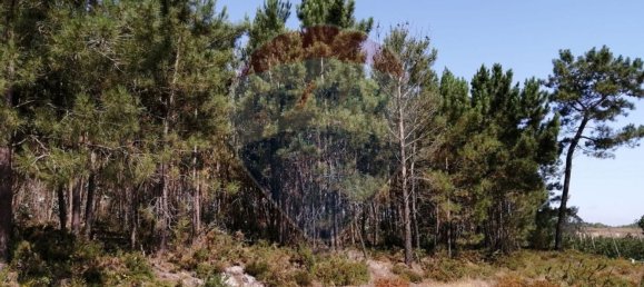 Terreno em Torres Vedras, Portugal 16500 m² N.º 92820 7