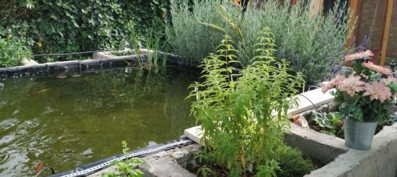 5 Schlafzimmer Haus in El Realengo, Spain, Nr. 185197 57