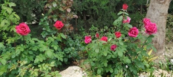 5 Schlafzimmer Haus in El Realengo, Spain, Nr. 185197 60