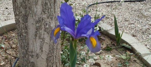 5 Schlafzimmer Haus in El Realengo, Spain, Nr. 185197 58