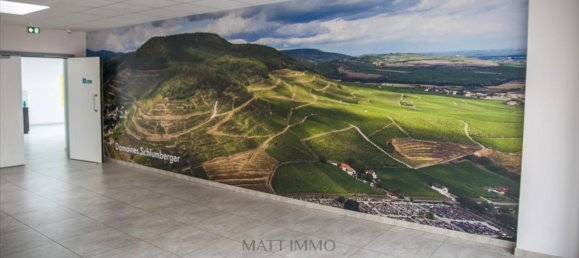 Escritório em Guebwiller, France 124 m² N.º 92701 3