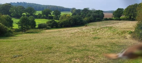 3غرفة منزل في Schleswig-Holstein, Germany رقم 16863 2