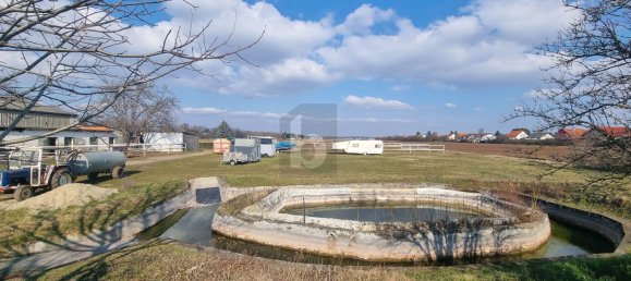 Terrain à Markgrafneusiedl, Austria 42160m² No. 256197 4