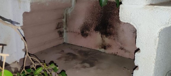 6غرفة فيلا في Bari, Italy رقم 235209 30