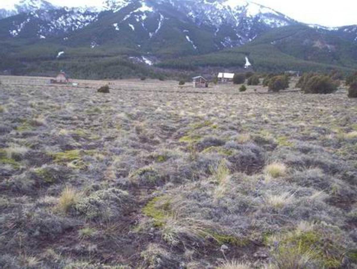  Land in Neuquen, Argentina No. 44587