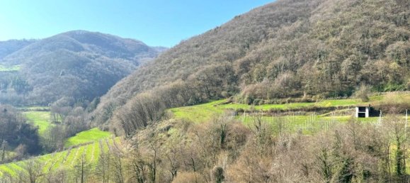 3 غرف نوم منزل في Vestenanova, Italy رقم 197000 13