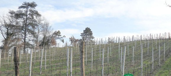 6 rooms House in Strevi, Italy No. 114497 20